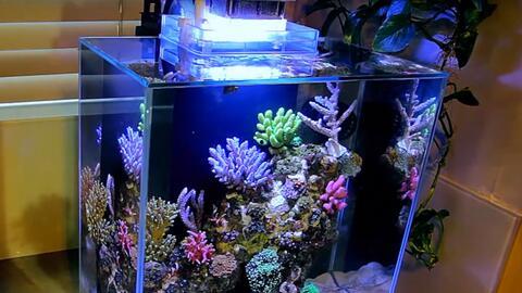 森森鱼缸安装视频教程,轻松打造个性化水族世界