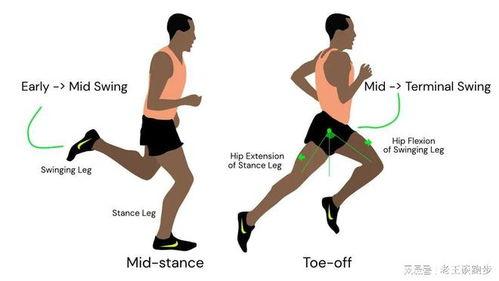 跑步送髋视频,高效提升运动表现