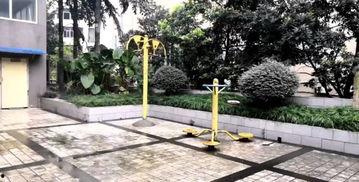 园的小视频,捕捉四季流转的美好瞬间