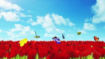 花蝴蝶舞视频,翩翩起舞,绽放古典韵味