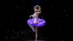 花蝴蝶舞视频,翩翩起舞,绽放古典韵味