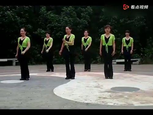 花蝴蝶舞视频,翩翩起舞,绽放古典韵味